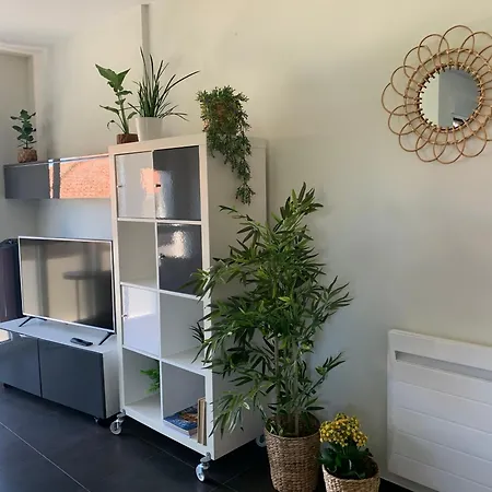 Palmeira Beach アパート