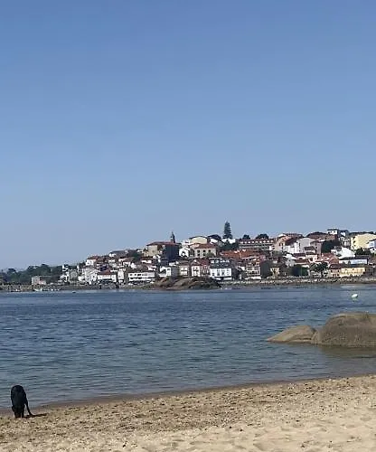 Apartament Palmeira Beach *