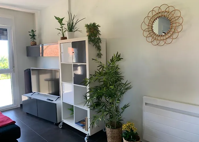 Palmeira Beach Apartament